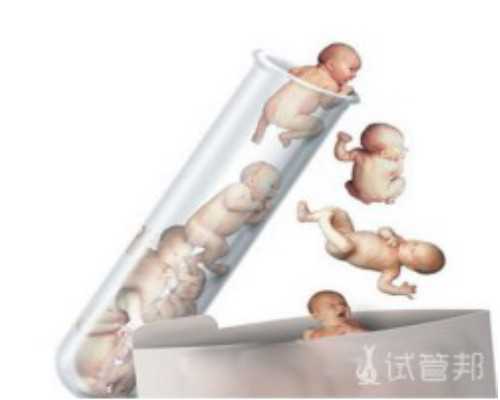 正规代怀多少钱_代怀孕排行榜,天津供卵机构在哪（北京代生供卵代怀）